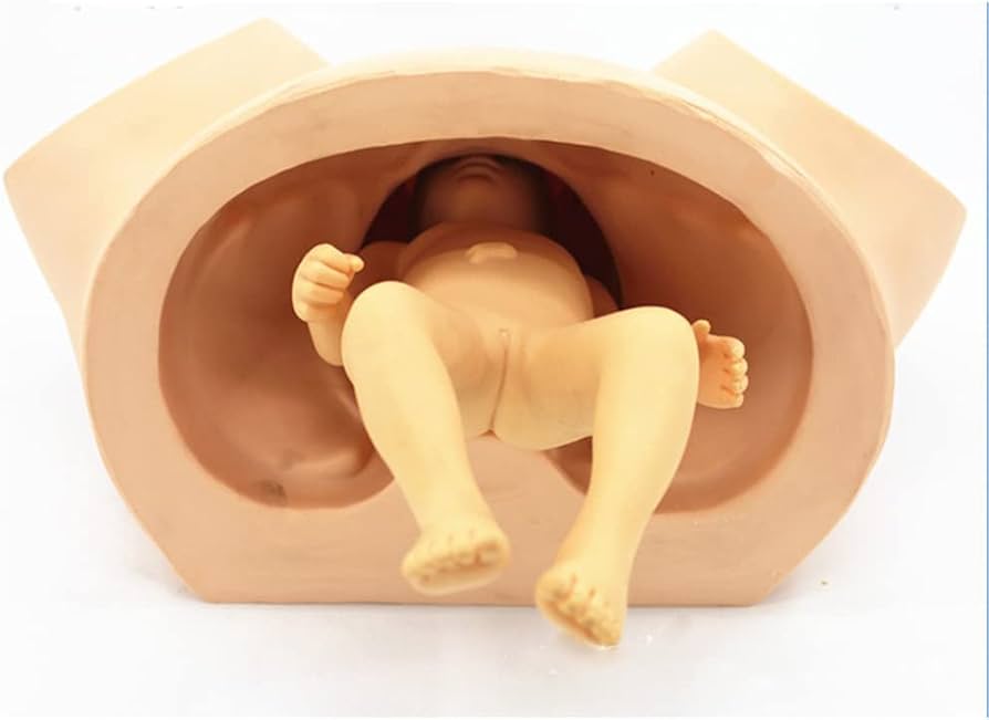 Childbirth Simulator Manikin