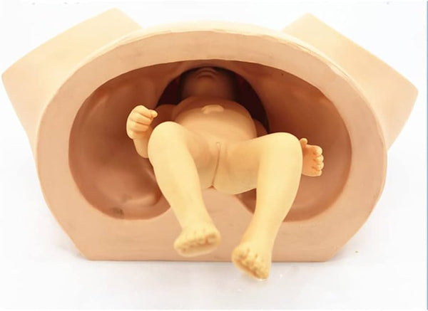 Childbirth Simulator Manikin