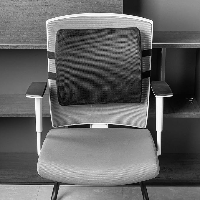 Back Support Cushion