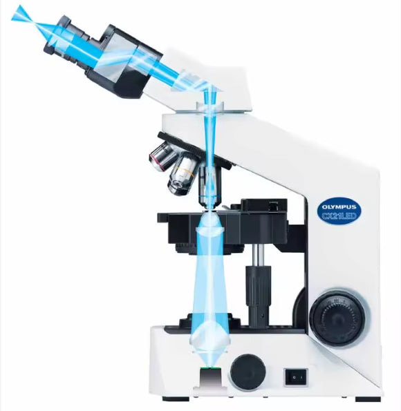Olympus CX21 Binocular Microscope